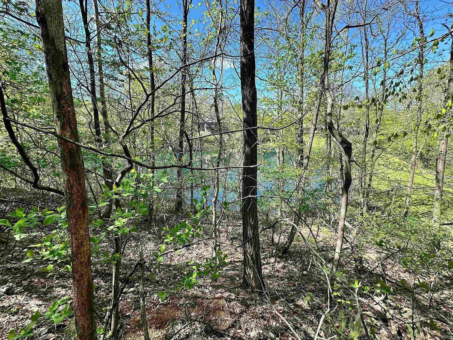 2036 Silver Fox Dr Martinsville, IN 46151 - Thumbnail 4