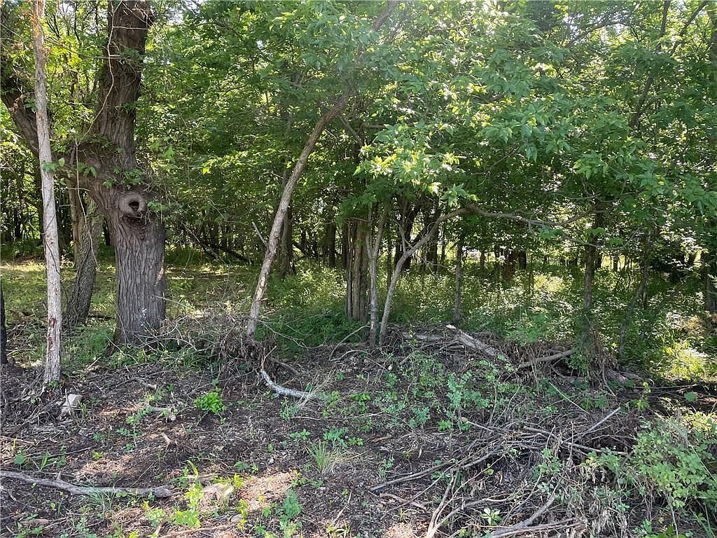 169 Linn Valley Blvd Linn Valley, KS 66040 - Thumbnail 4
