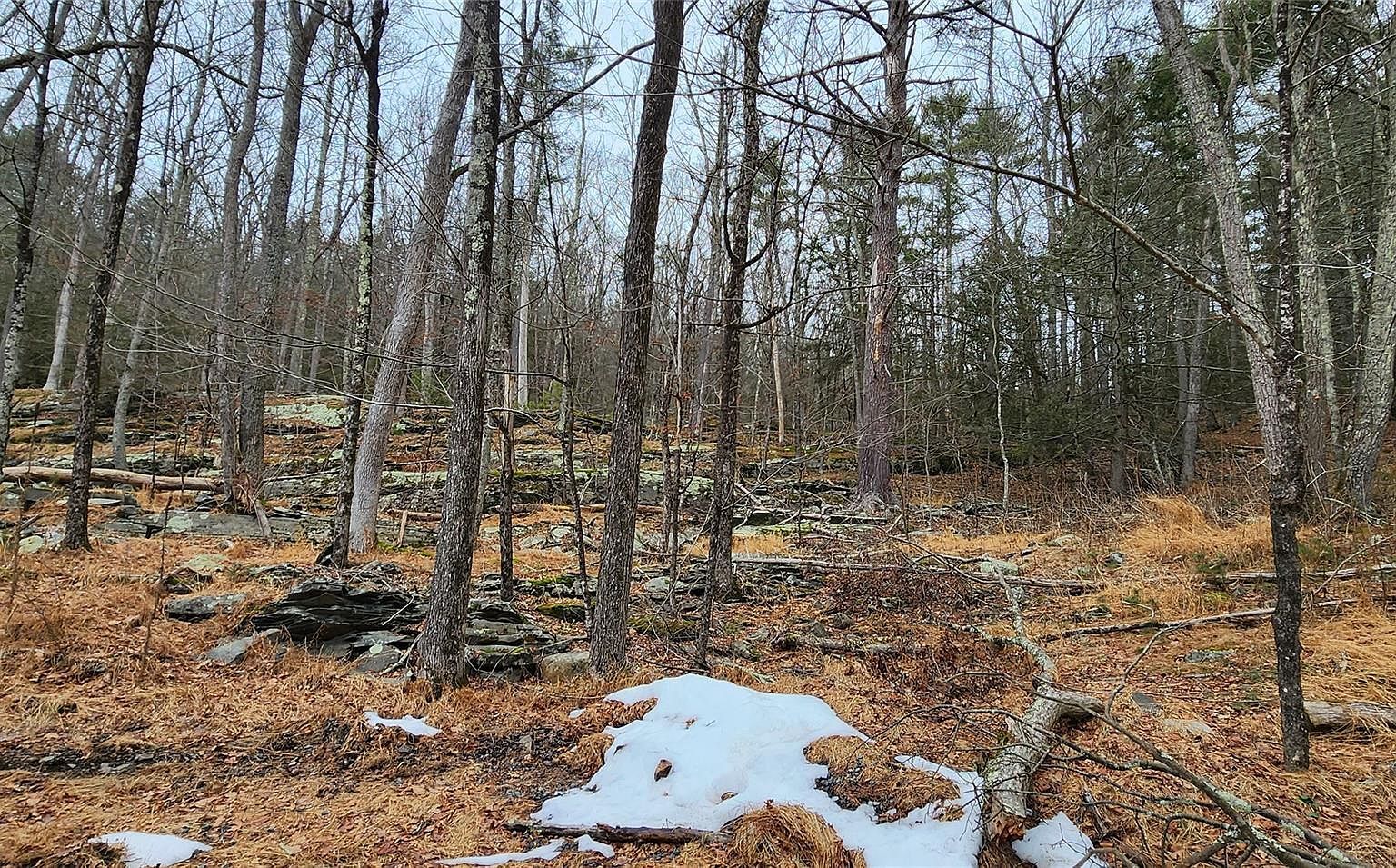 Deer Hill Rd Wurtsboro, NY 12790  | Land/Lot