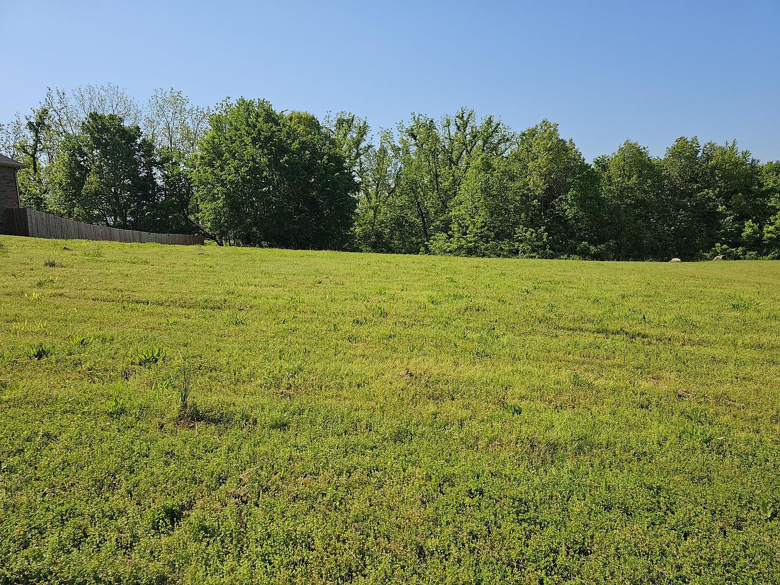 LOT 11 Fox Haven Dr Mount Vernon, MO 65712 - Thumbnail 4