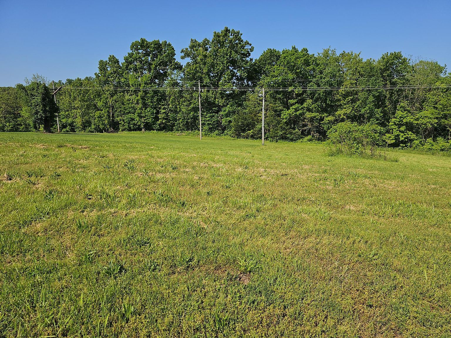 LOT 7 Fox Haven Dr Mount Vernon, MO 65712 - Thumbnail 4