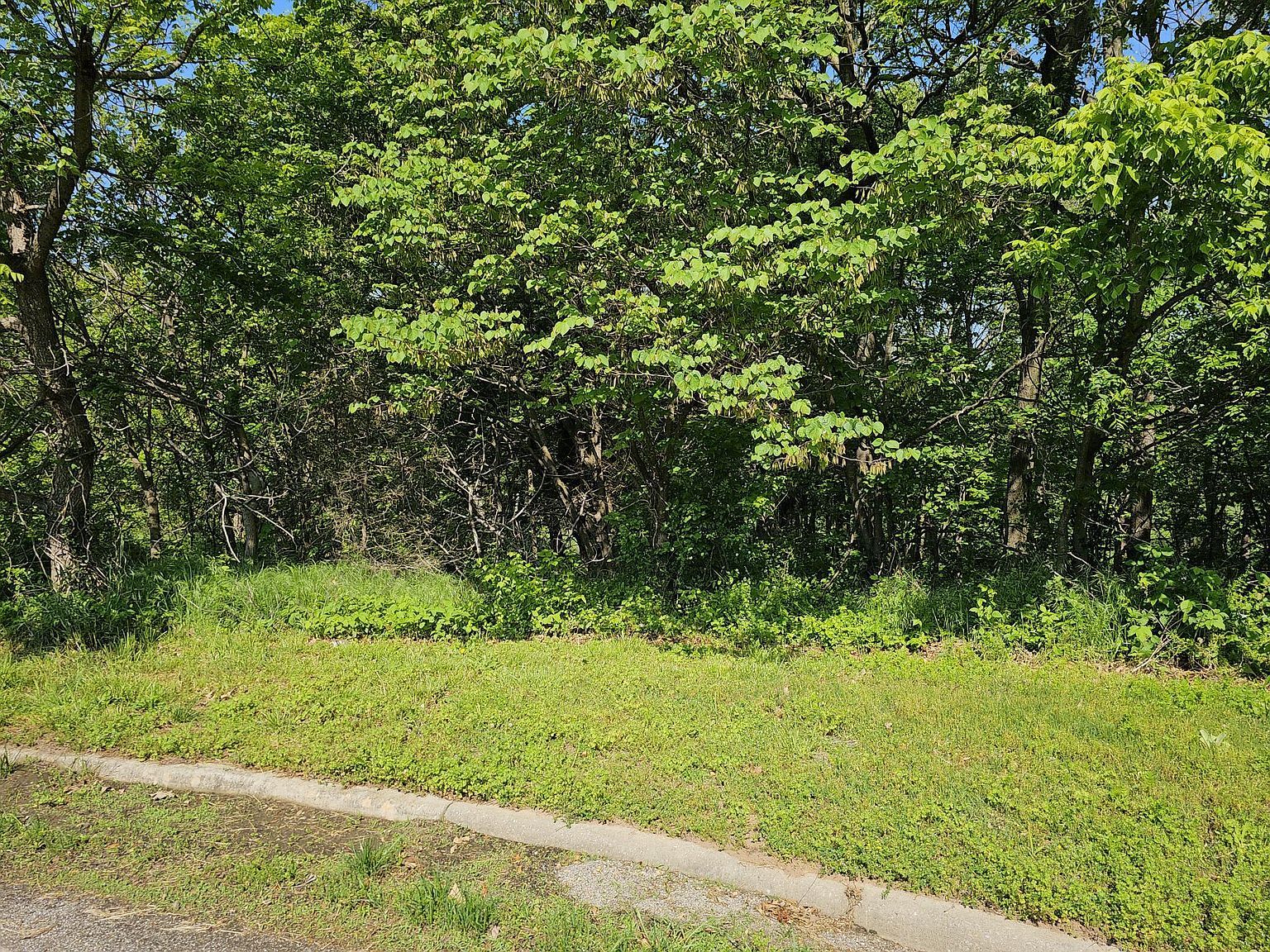 LOT 6 Fox Haven Dr Mount Vernon, MO 65712 - Thumbnail 4
