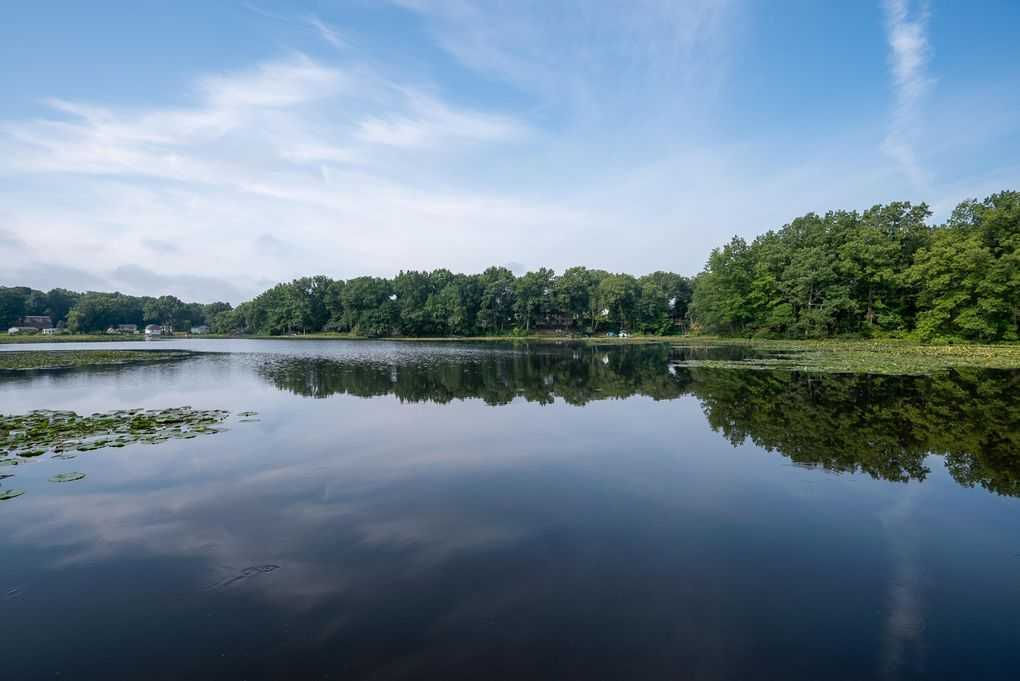 55658 Nubour Rd, Dowagiac, MI, USA, 49047 - Thumbnail 4