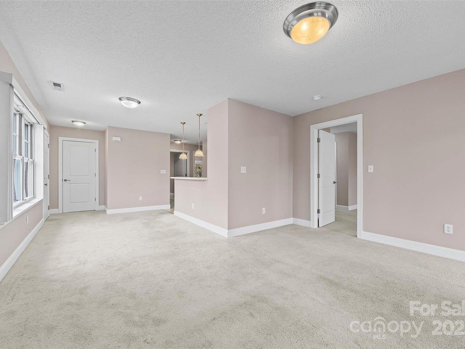 234 Wash Creek Dr UNIT F Hendersonville, NC 28739 - Thumbnail 4