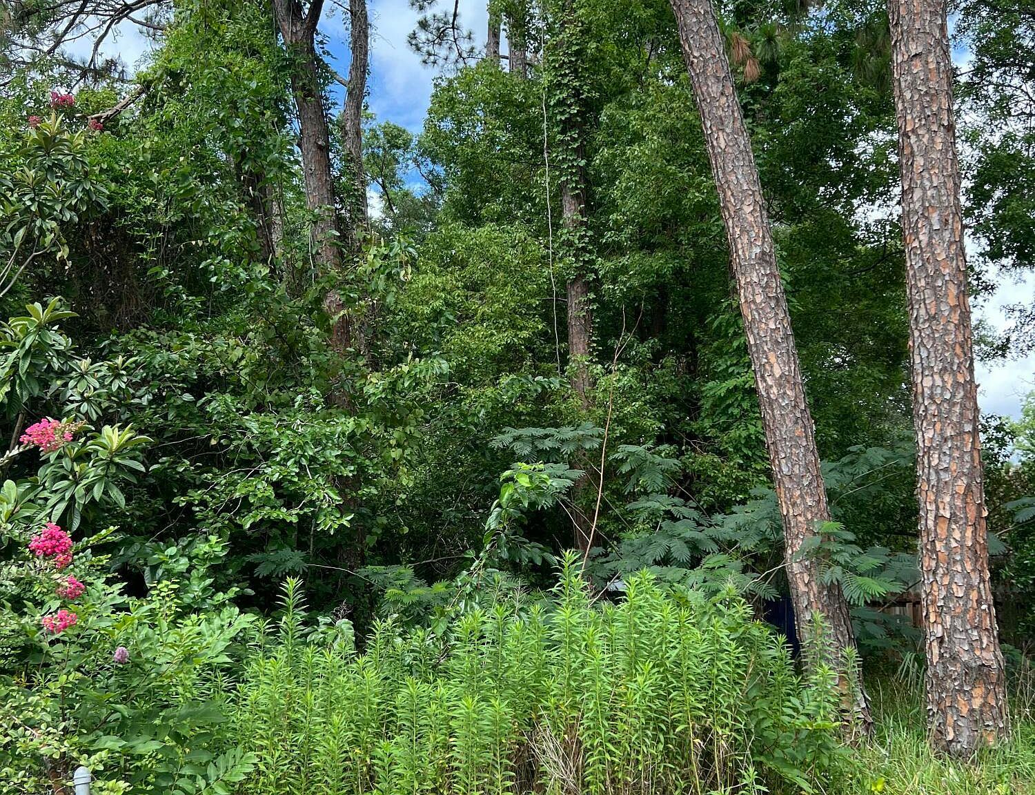 0 Moncrief Rd Jacksonville, FL 32219 - Thumbnail 4