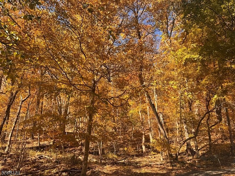 3 Rock St N Belvidere, NJ 07823 - Thumbnail 4