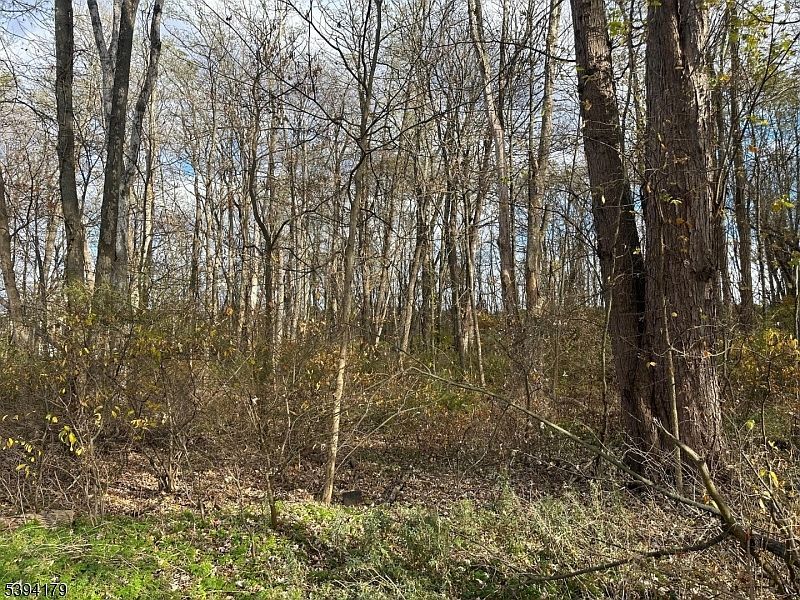 143 Vail Rd Columbia, NJ 07832, Columbia, NJ, 7832 - Thumbnail 4