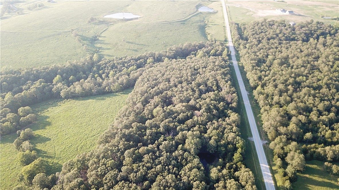 Highway 295 Hindsville, AR 72738 - Thumbnail 4