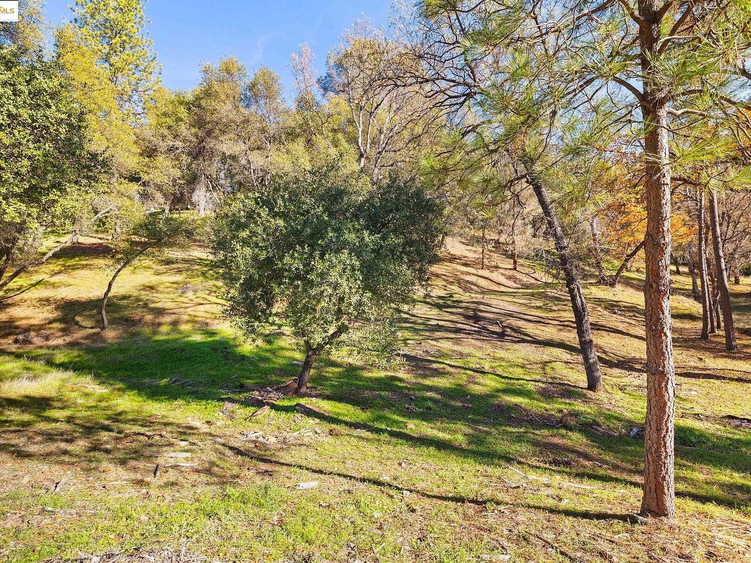 20465 Pine Mountain Dr Groveland, CA 95321 - Thumbnail 4