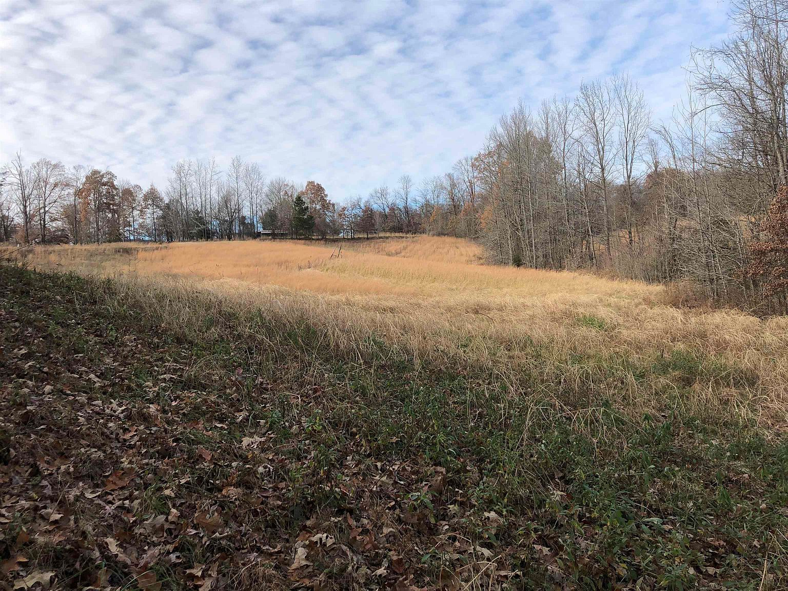 0 Elm Grove Rd Burlison, TN 38015 - Thumbnail 4