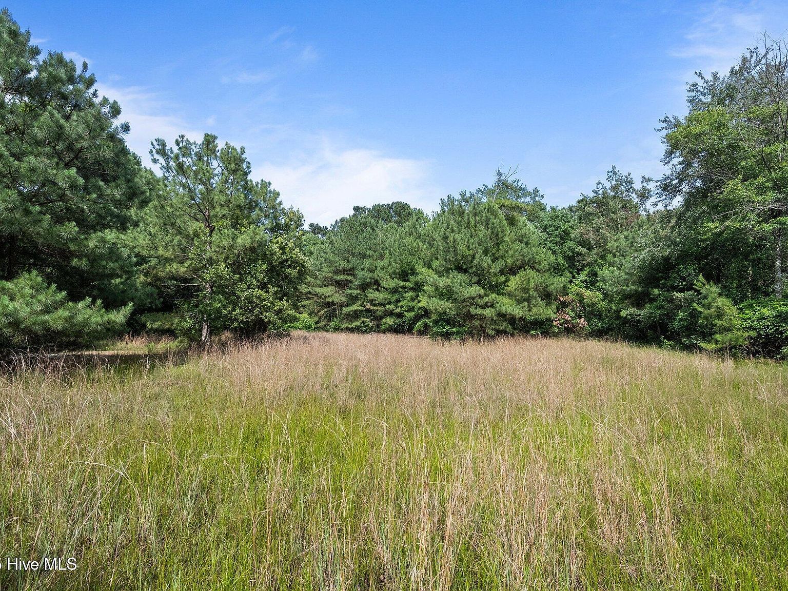 Remington Way Richlands, NC 28574 - Thumbnail 4