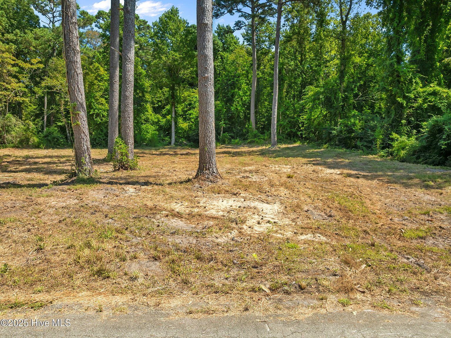 124 Jupiter Trl Jacksonville, NC 28546 - Thumbnail 4