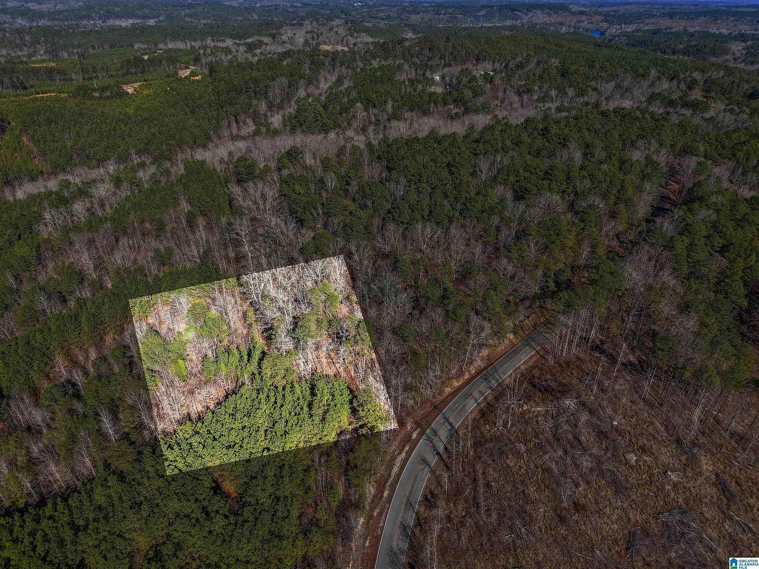15065 Lock 17 Rd #1 Adger, AL 35006 - Thumbnail 4