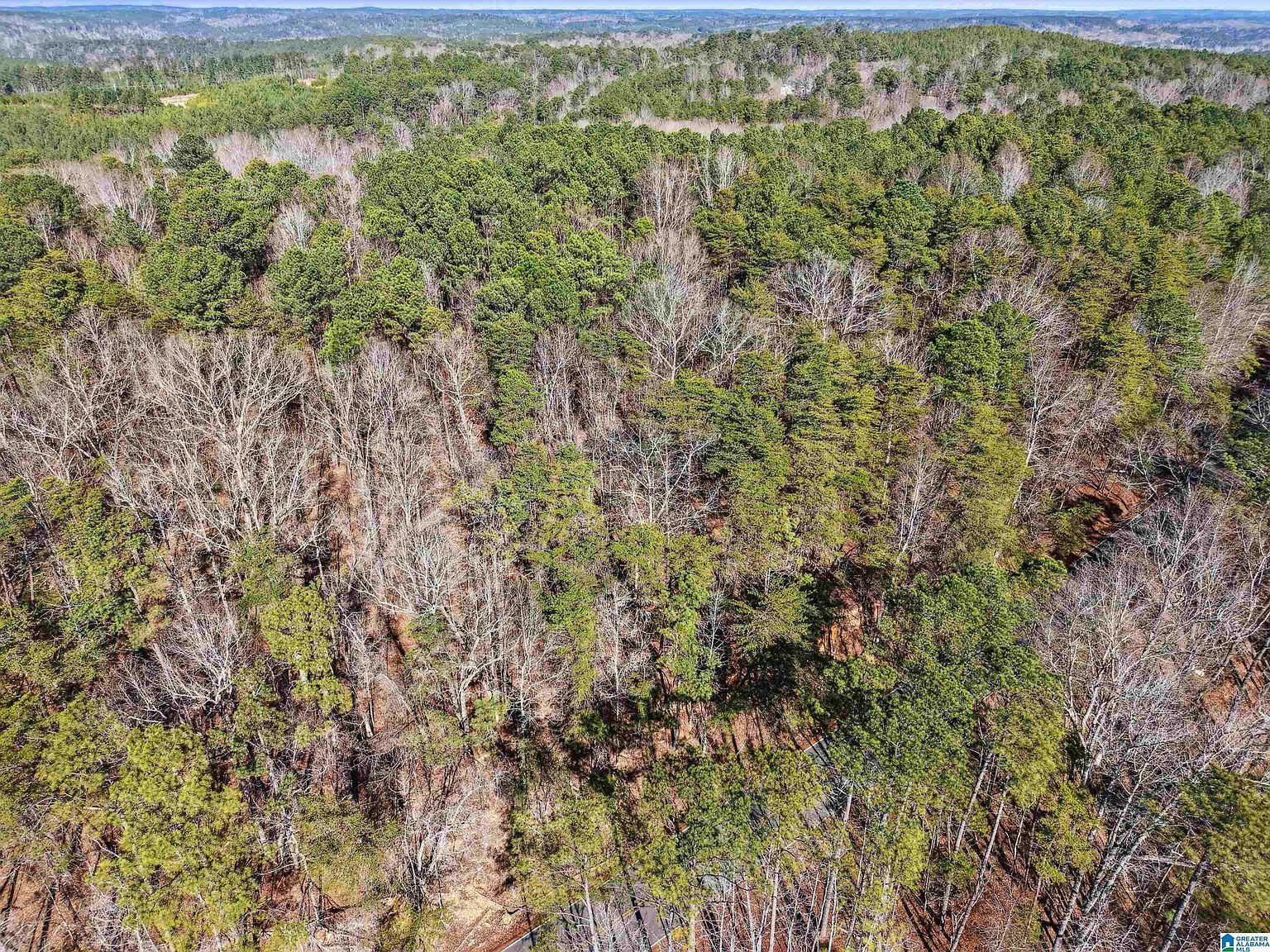 15045 Lock 17 Rd #1 Adger, AL 35006 - Thumbnail 4