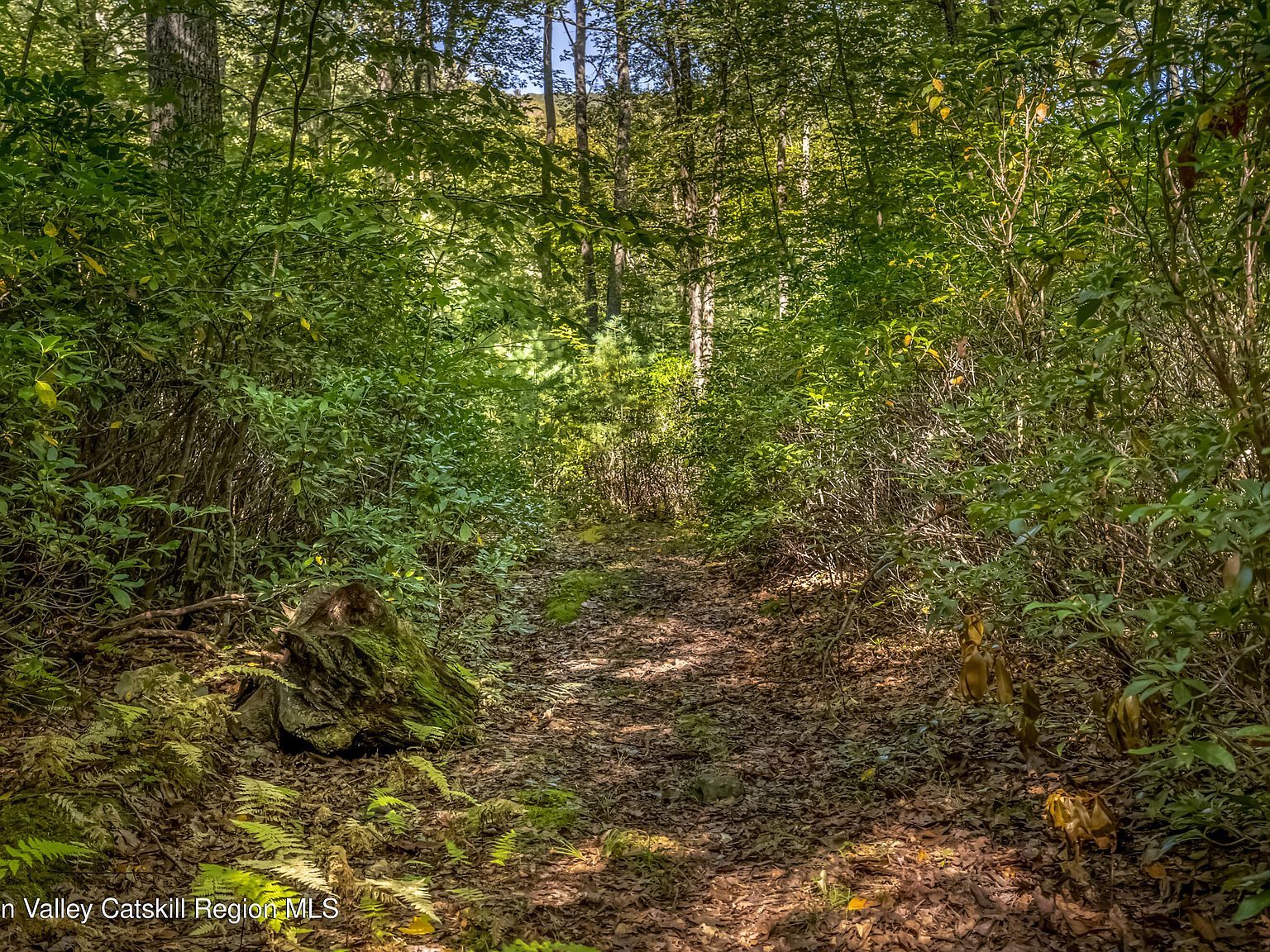 187 Rocky Mountain Rd Kerhonkson, NY 12446 - Thumbnail 4