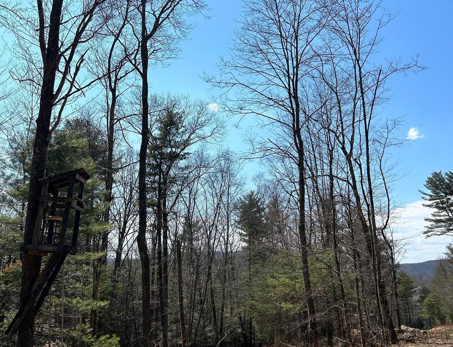 Tallman Hollow Rd LOT 5 Montoursville, PA 17754 | Land/Lot