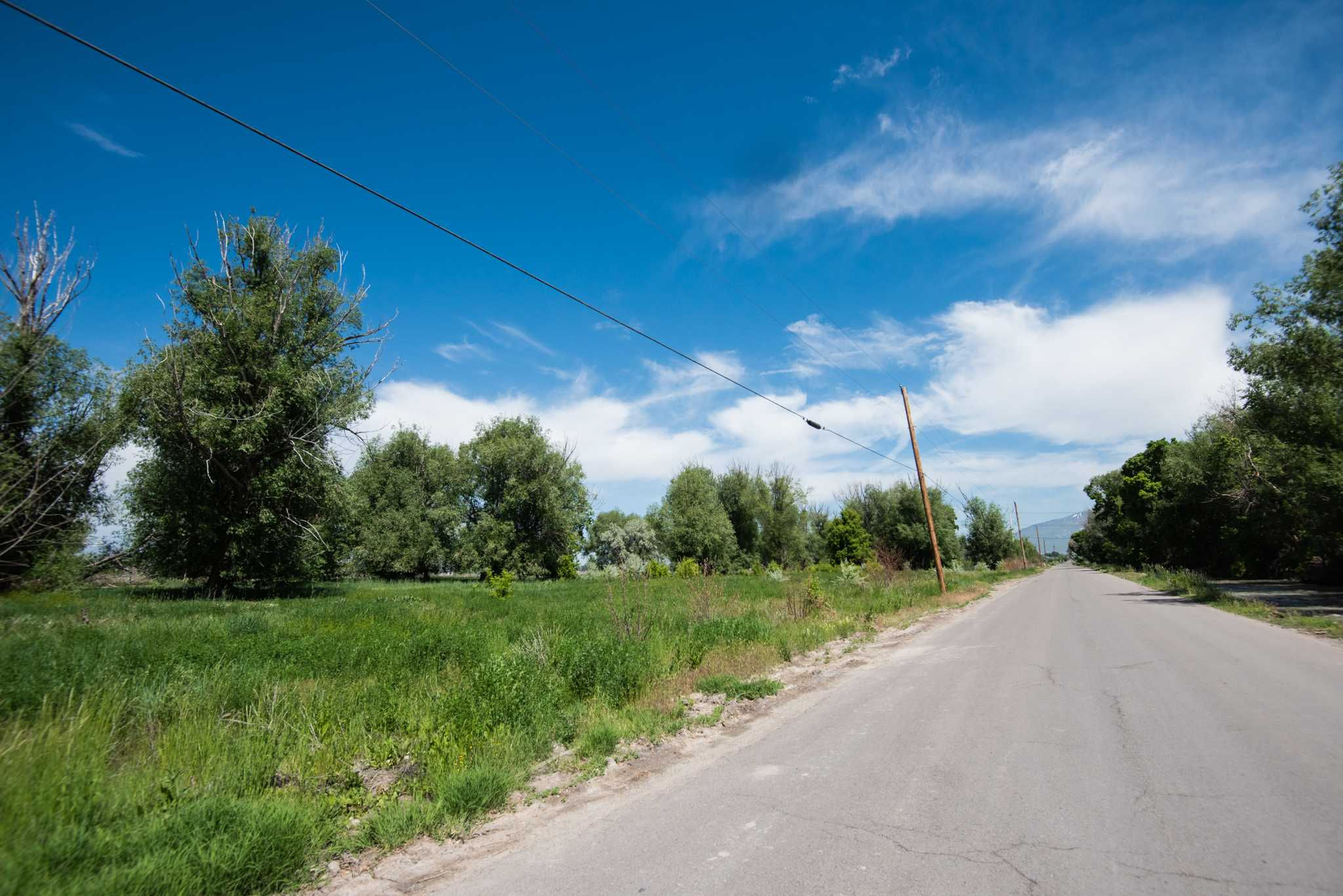 6595 North 6000 West, Highland, UT, USA, 84003 - Thumbnail 4