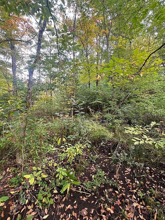 0 Allen Rd Belchertown, MA 01007 - Thumbnail 4