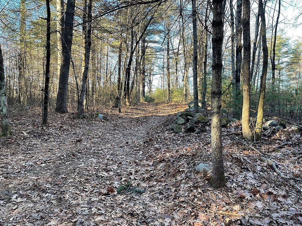 LOT 38 38b Michael Shrs Belchertown, MA 01007 - Thumbnail 4