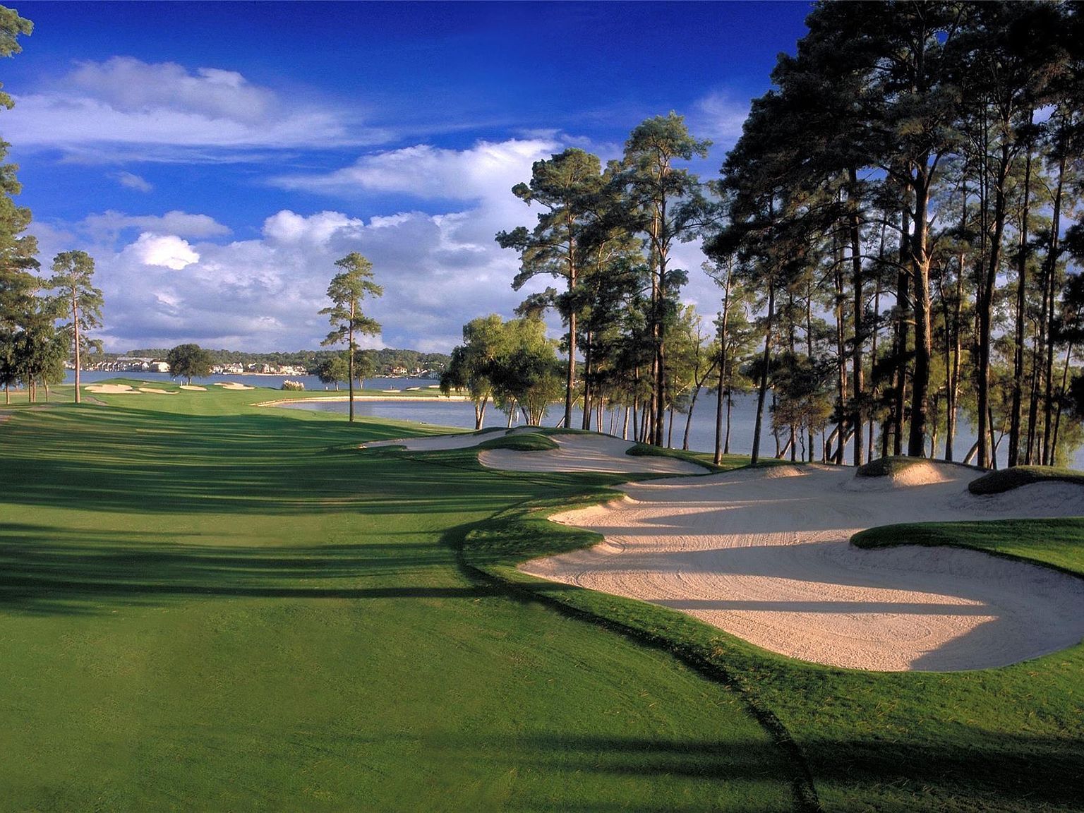 147 Mia Lago Dr Montgomery, TX 77356 - Thumbnail 4