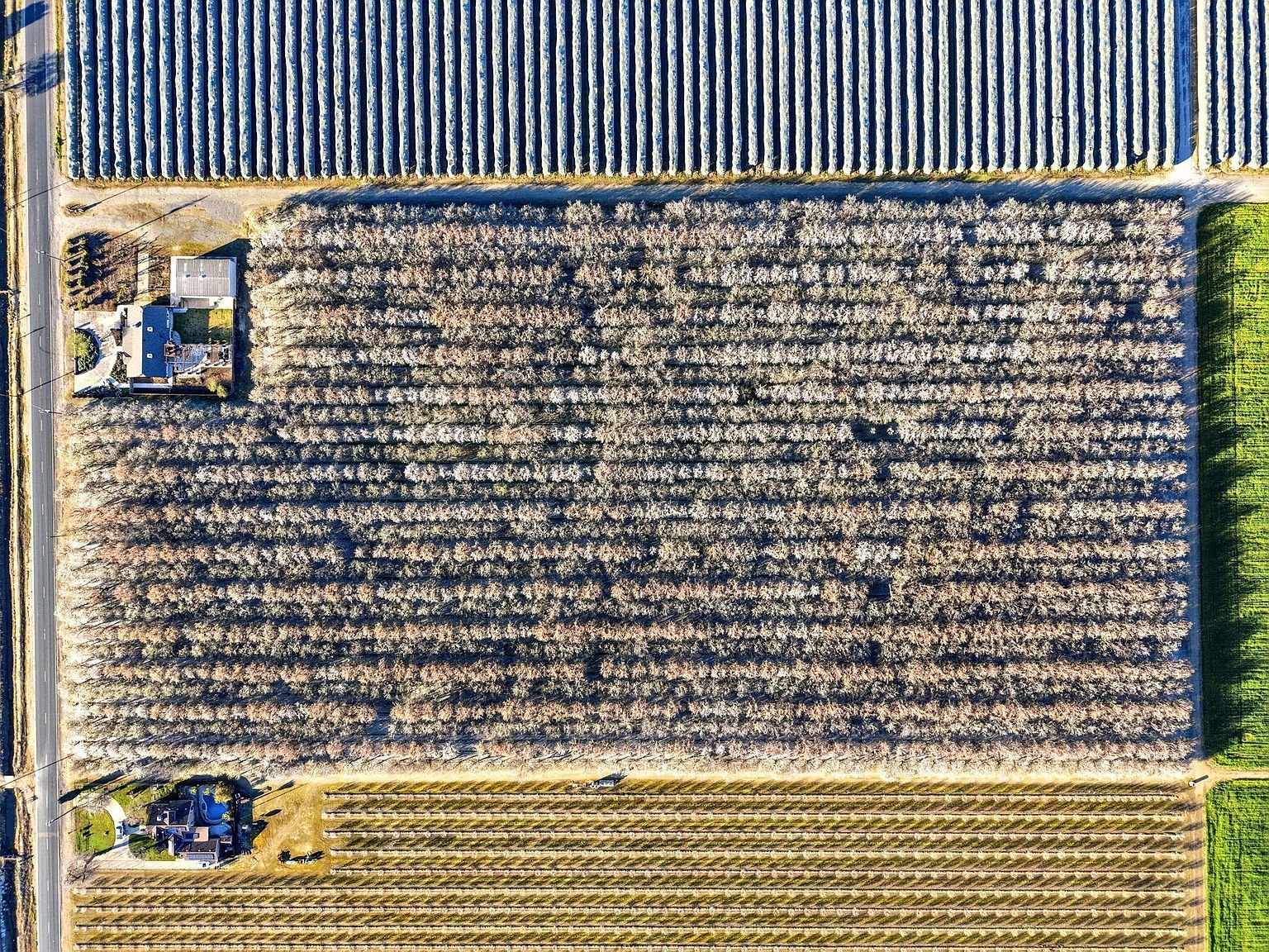 39532 Road 104 Dinuba, CA 93618 - Thumbnail 4