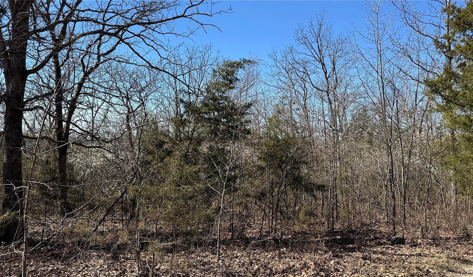 0 Holiday Shores Dr Bismarck, MO 63624 - Thumbnail 4