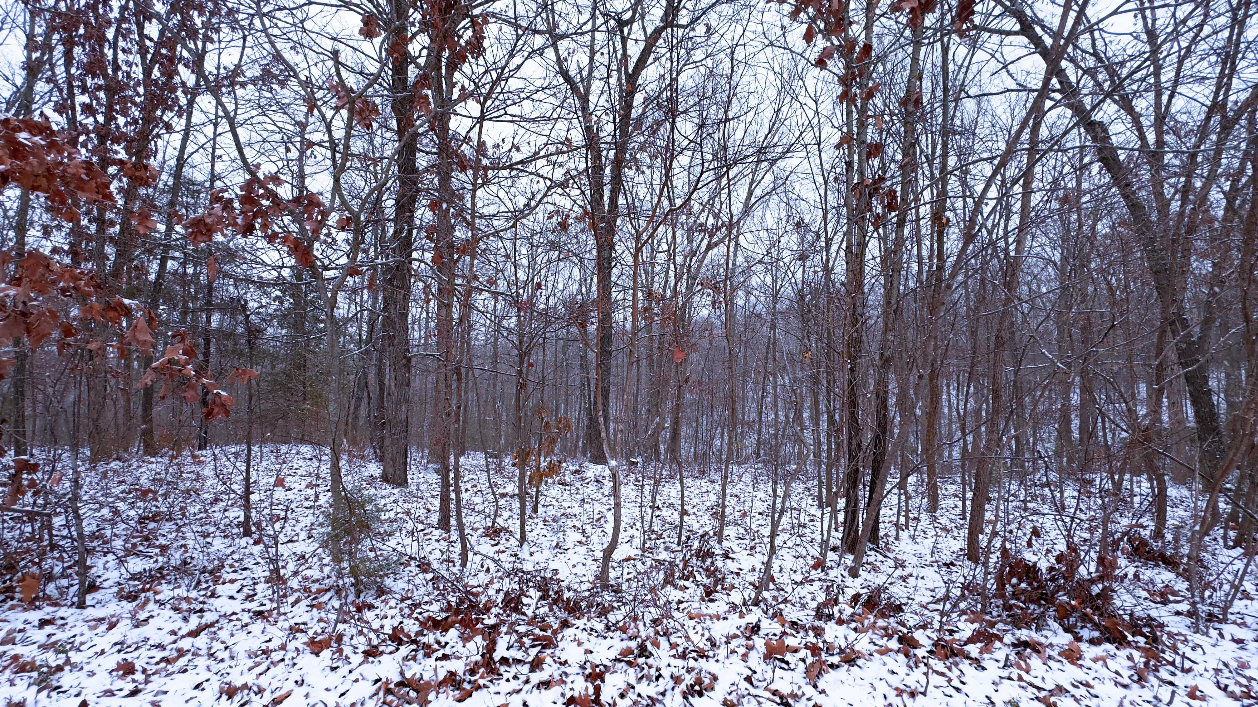 Foxtrot Road, Cadet, MO, 63630 - Thumbnail 5