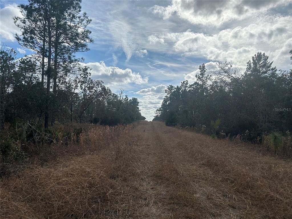 NE 149th Ct #7 Williston, FL 32696 - Thumbnail 4