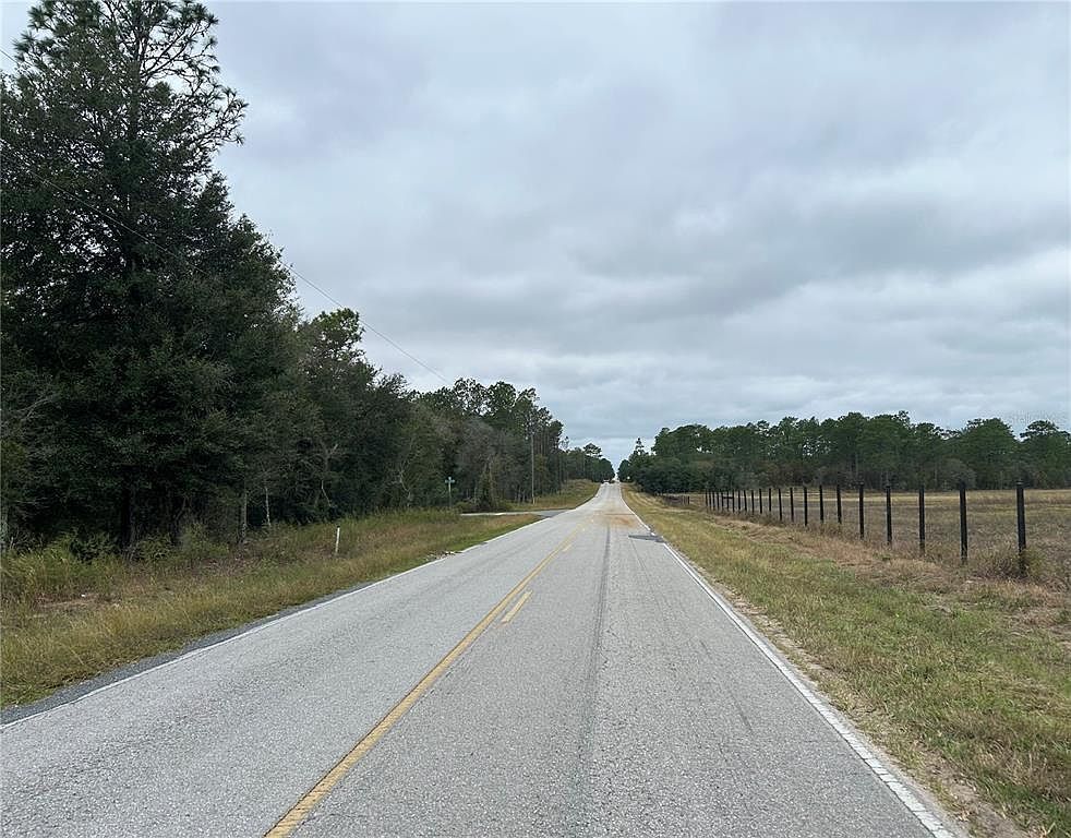 80 Southeast St Morriston, FL 32668 - Thumbnail 4