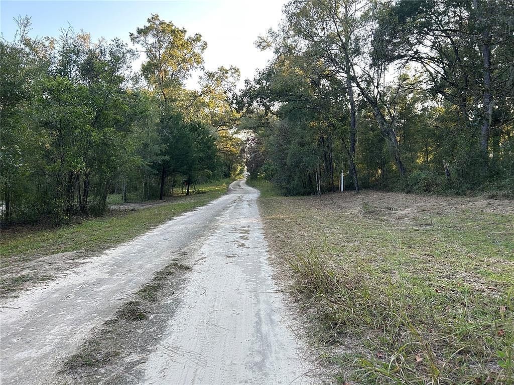 NE 155th Ct LOT 2 Williston, FL 32696 - Thumbnail 4