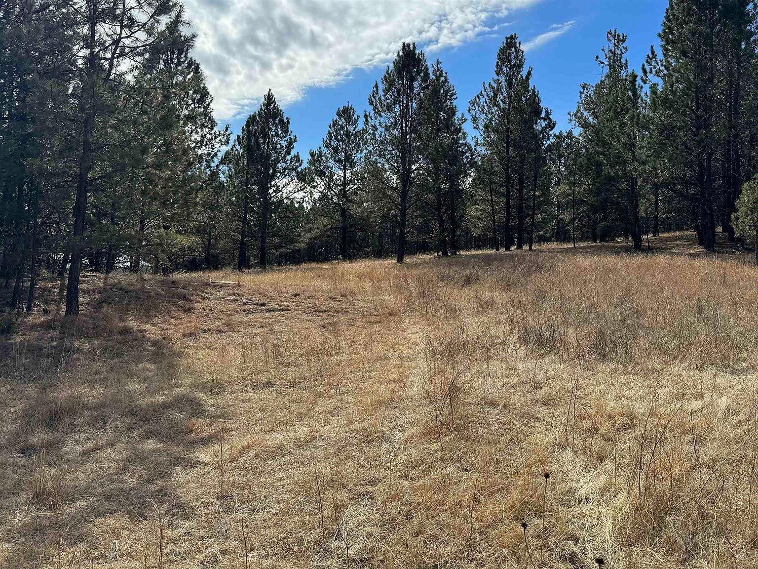 Hart Rd Hot Springs, SD 57747 - Thumbnail 4