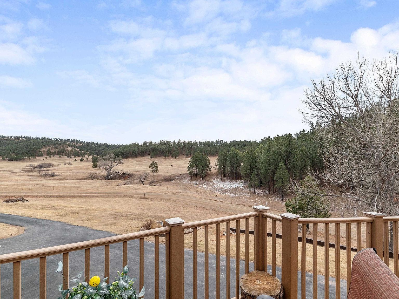 13929 Thistle Ridge Rd Hermosa, SD 57744 - Thumbnail 4