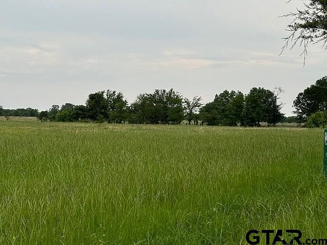 0 Smith Rd Kemp, TX 75143 - Thumbnail 4