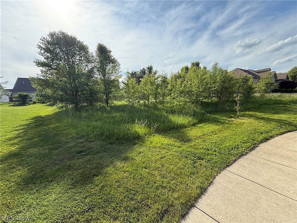 40 Woodland Run Canfield, OH 44406 - Thumbnail 4