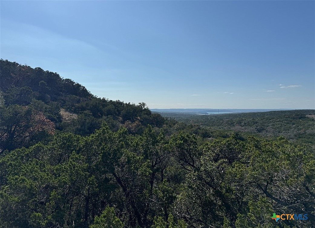 1220 Serenity Fischer, TX 78623 - Thumbnail 4