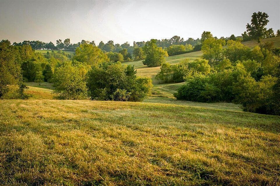 0 Deer Chase Rd Tract 15 Stanford, KY 40484 - Thumbnail 4