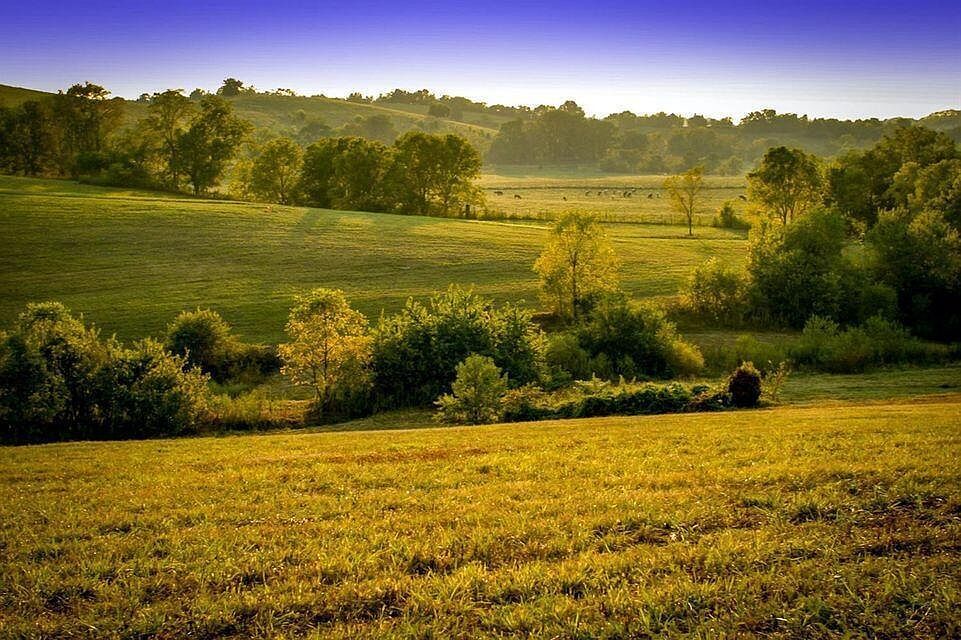 0 Deer Chase Rd Tract 16 Stanford, KY 40484 - Thumbnail 4