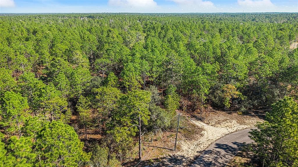 8941 N Farrington Dr Citrus Springs, FL 34433 - Thumbnail 4