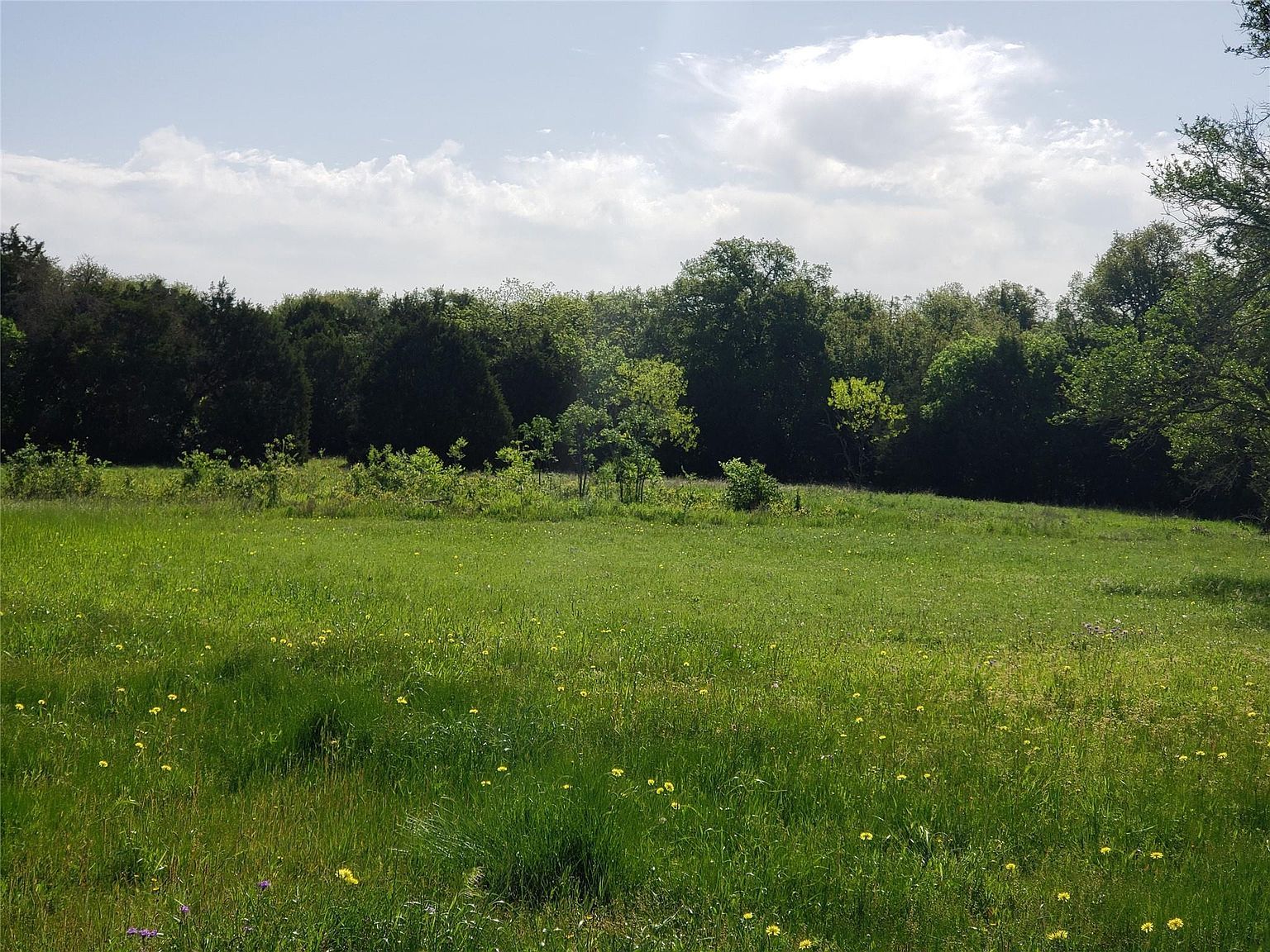 200 Christine Ln, Liberty Hill, TX, 78642 - Thumbnail 4