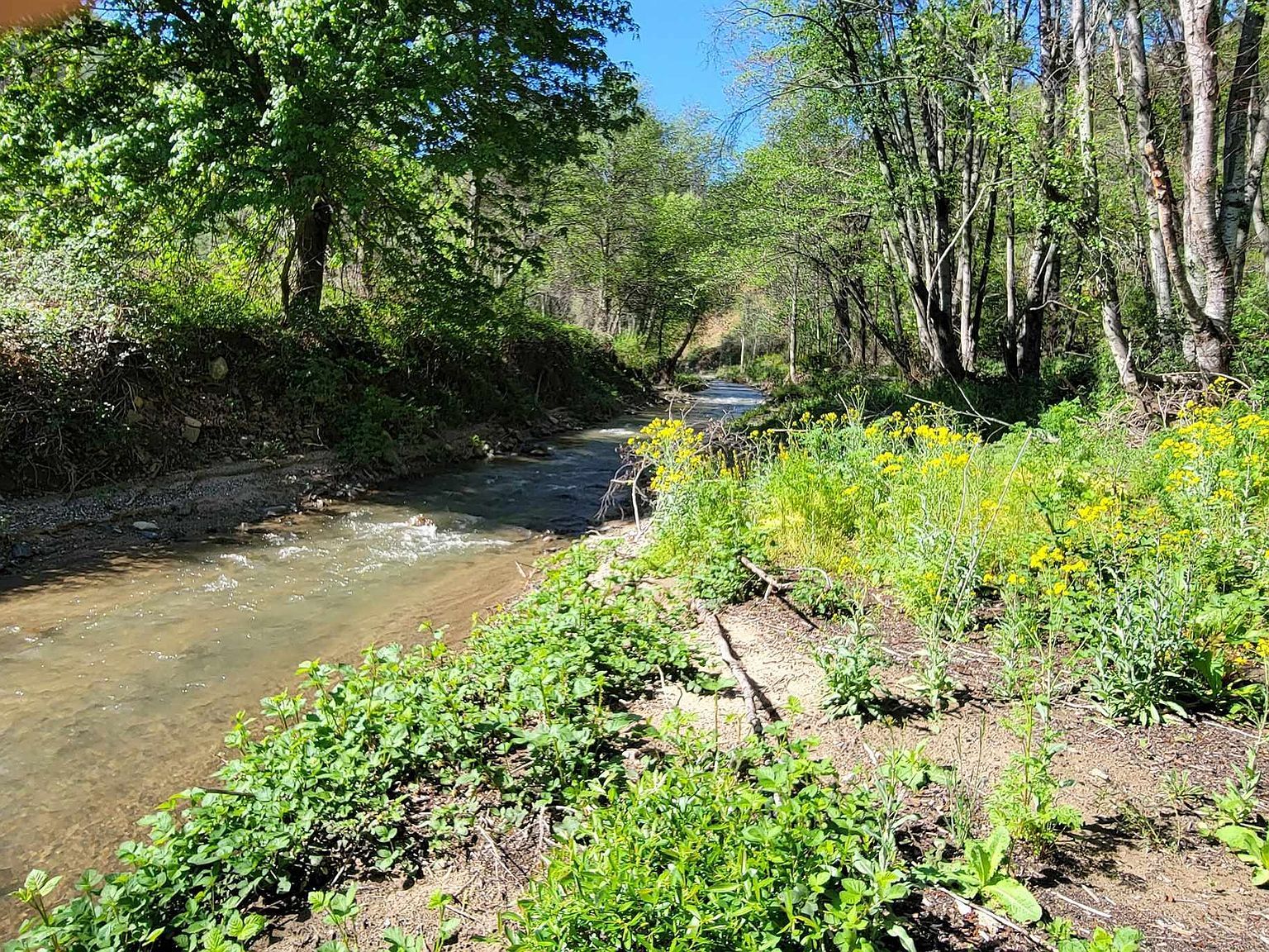 006-350-160 Humbug Creek Rd Yreka, CA 96097 - Thumbnail 4