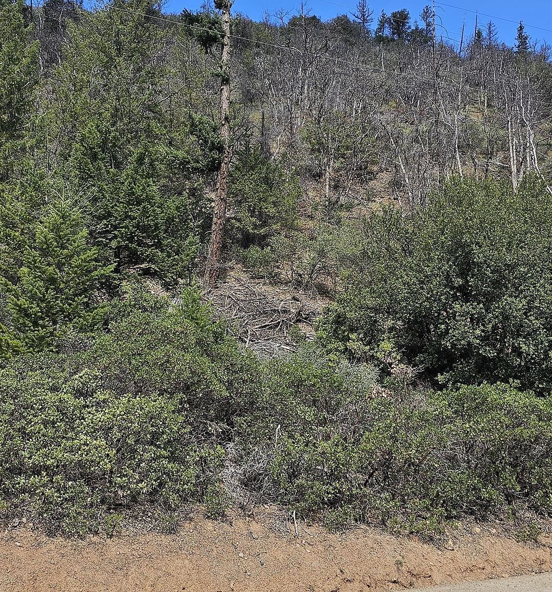 X McAdams Creek Rd Fort Jones, CA 96032 - Thumbnail 4