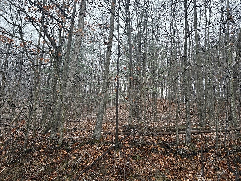 0 Warren Rd #9 Middlesex, NY 14507 - Thumbnail 4