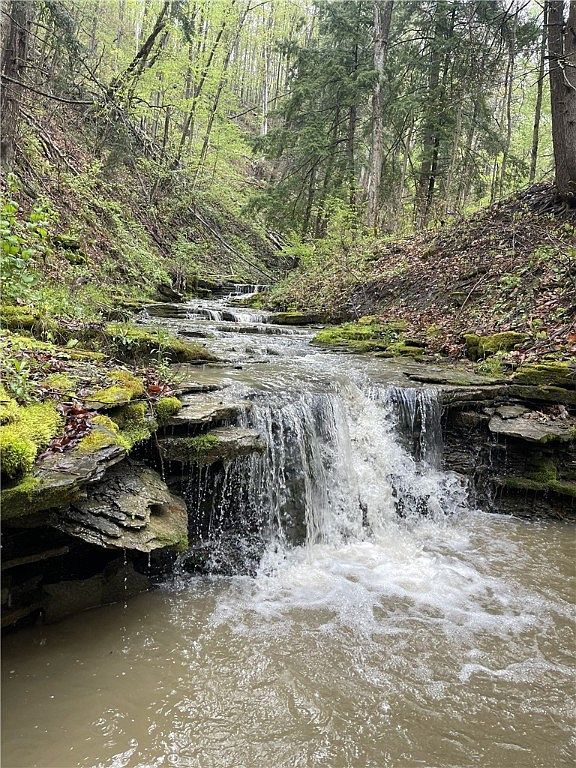 0 Ruttin Rd, Scio, NY, 14880 - Thumbnail 4