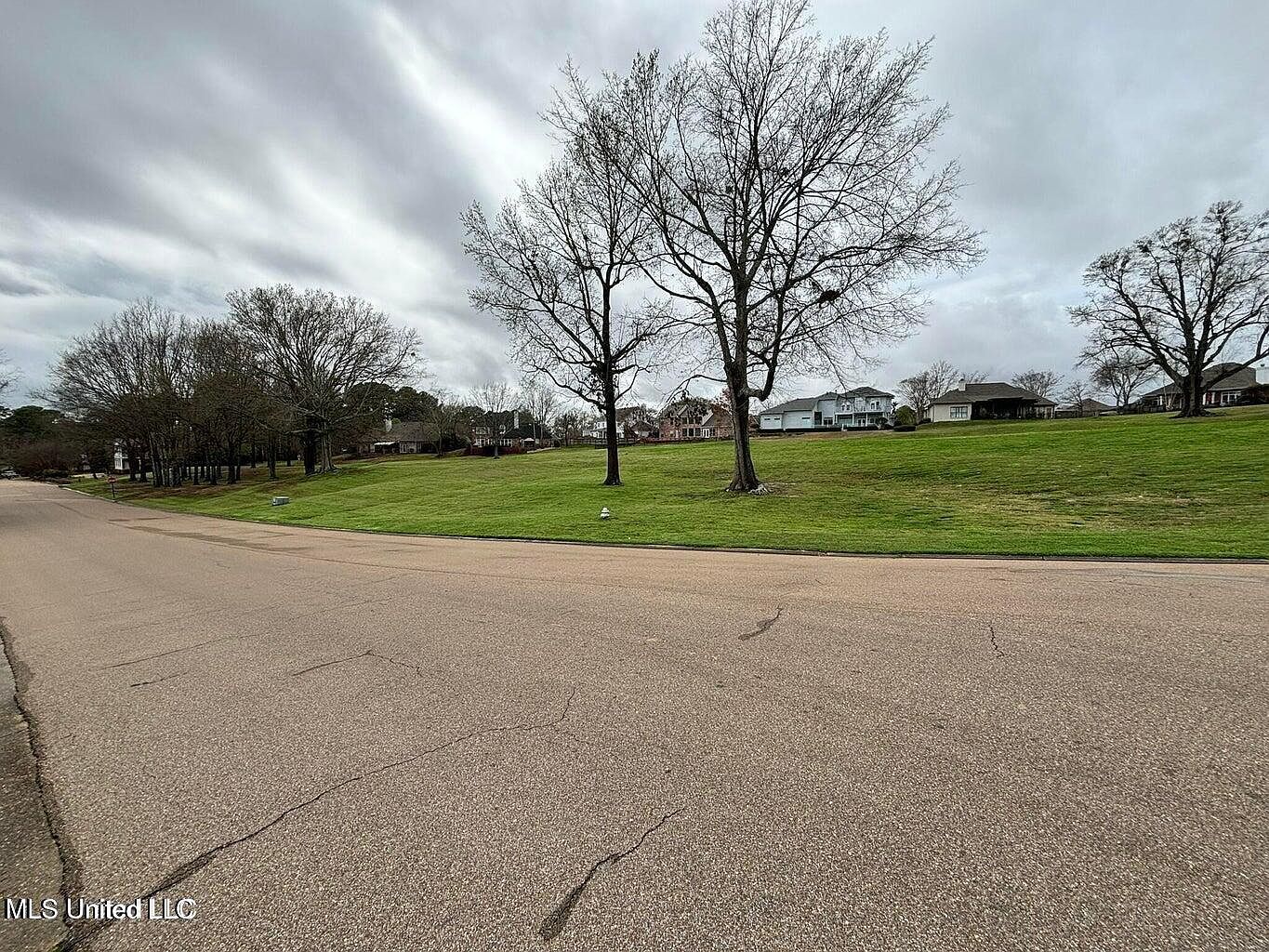 Northbay Cv Madison, MS 39110 - Thumbnail 4