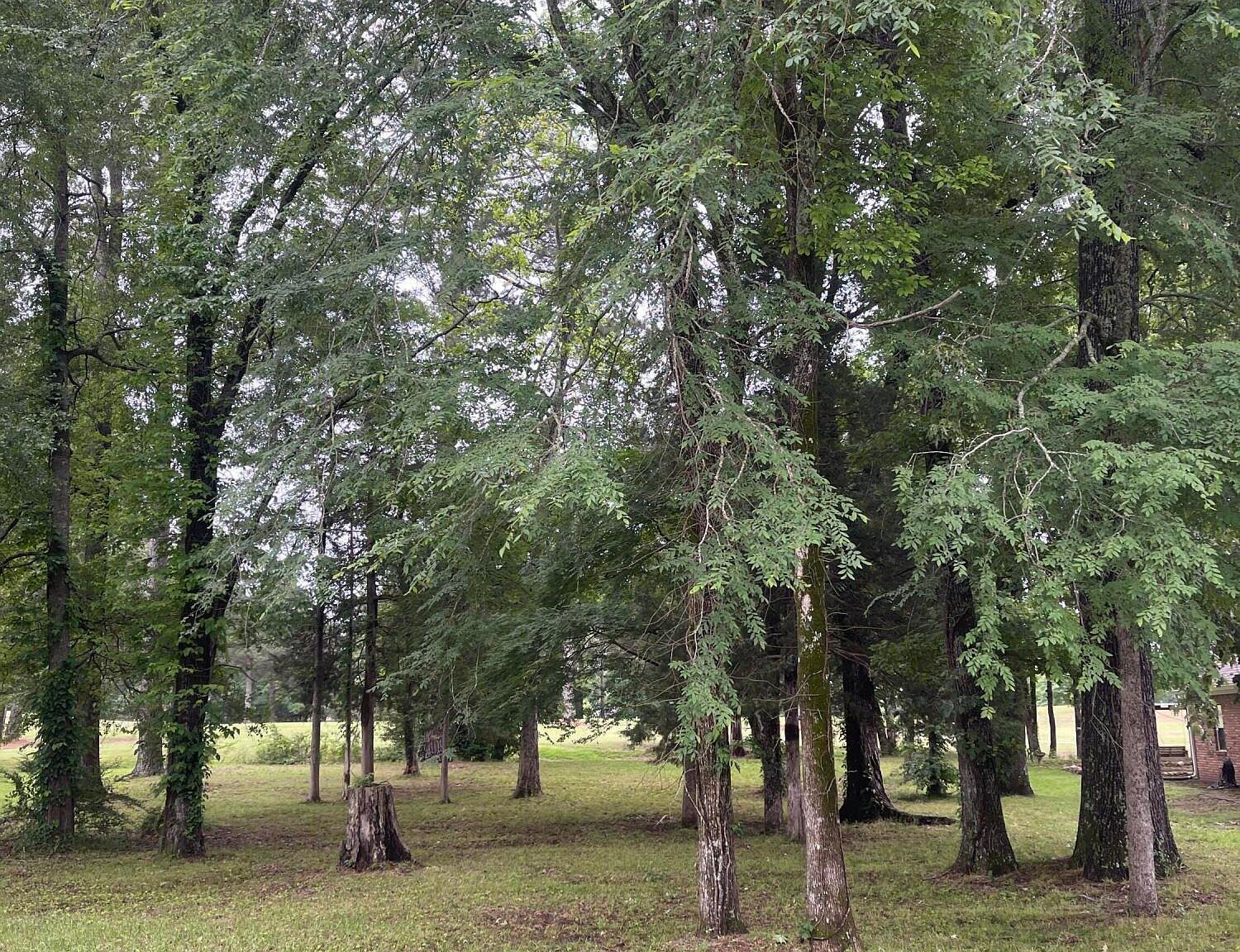 803 Oak Trl Canton, MS 39046  | Land/Lot