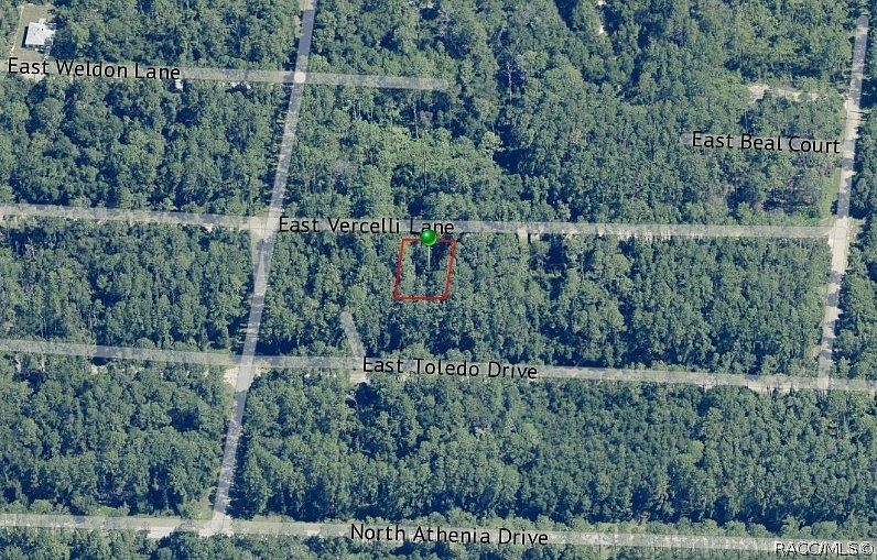 1016 E Vercelli Ln Citrus Springs, FL 34434 - Thumbnail 4