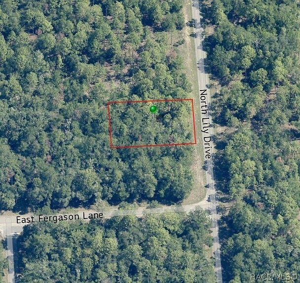 9538 N Lily Dr Citrus Springs, FL 34434 - Thumbnail 4