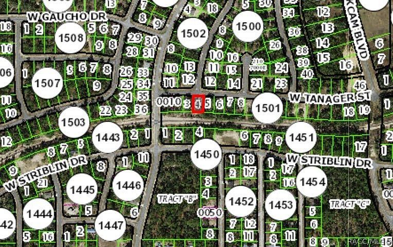 2654 W Tanager St Citrus Springs, FL 34433 - Thumbnail 4