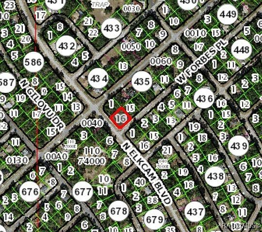 2851 W Forbes Pl Citrus Springs, FL 34434 - Thumbnail 4