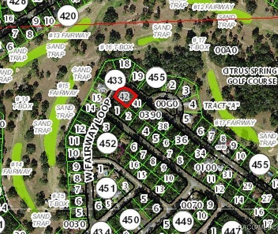 2754 W Fairway Loop Citrus Springs, FL 34434 - Thumbnail 4